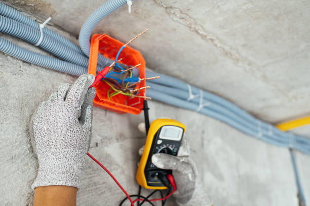 Best Outdoor Lighting Installation  in Momence, IL